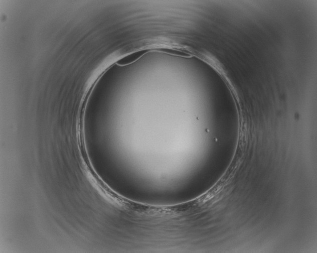 X0000056370811200508291359