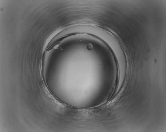 X0000056370812200508291359