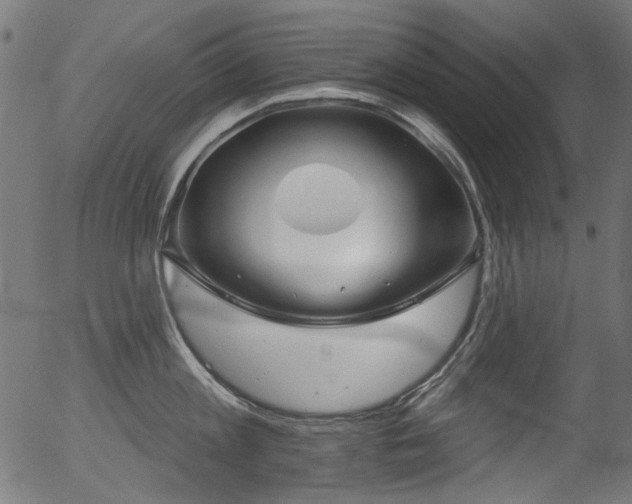 X0000056370813200508291359