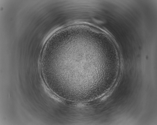 X0000056370814200508291359