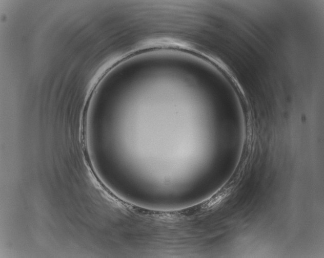 X0000056370815200508291359