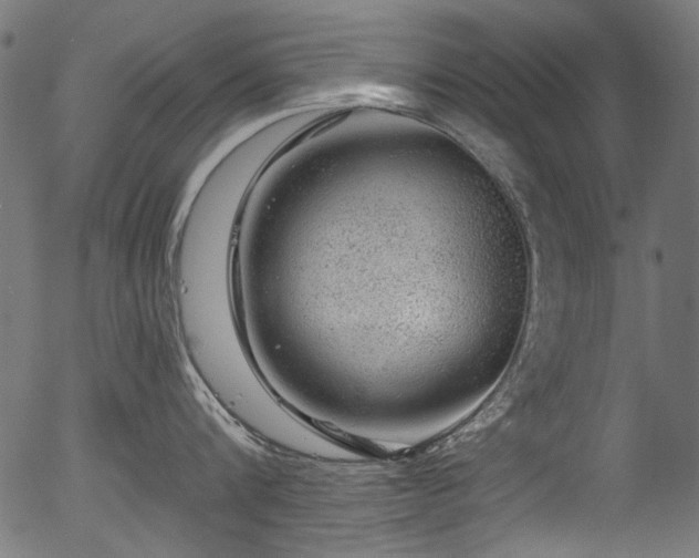 X0000056370816200508291359