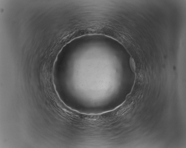 X0000056370817200508291358