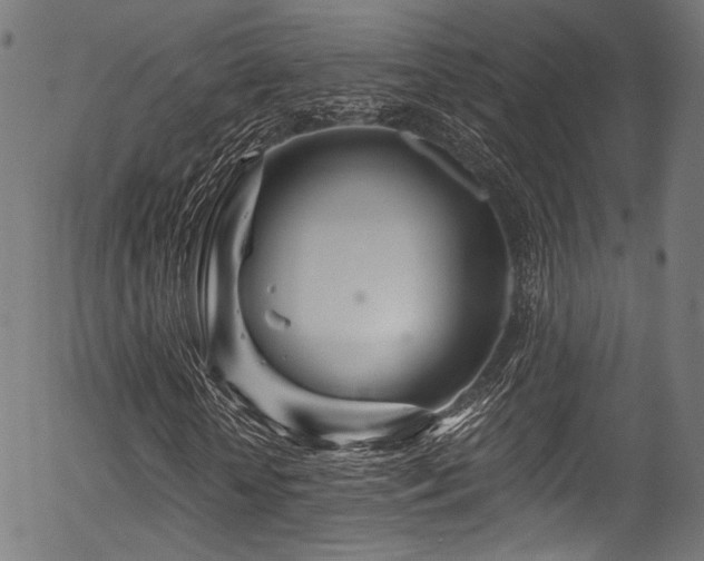 X0000056370818200508291358