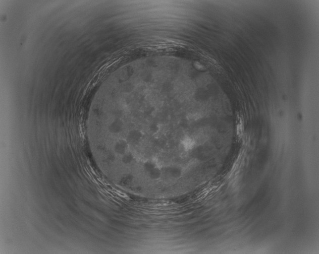 X0000056370819200508291358