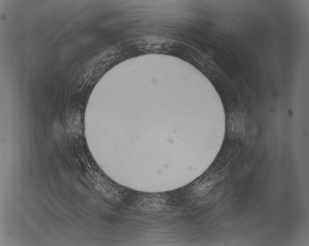 X0000056370820200508291358