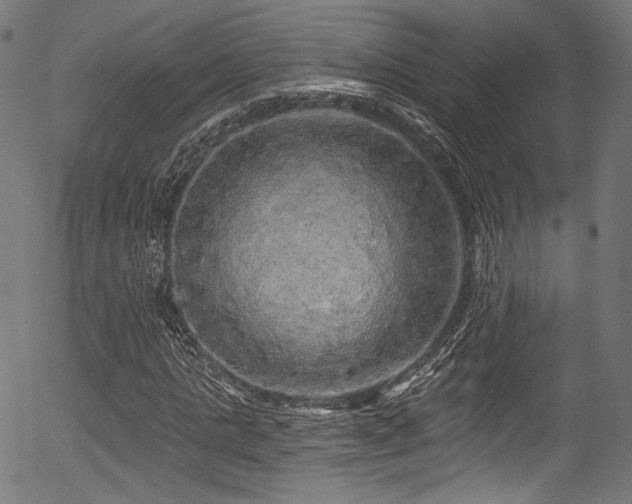 X0000056370821200508291358