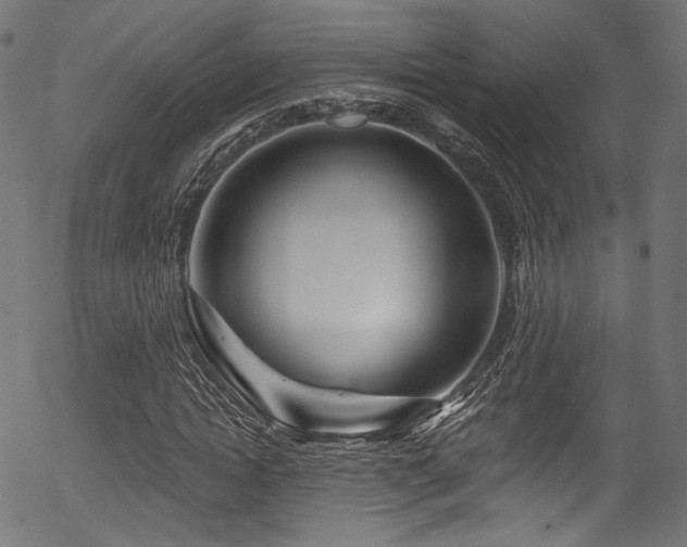 X0000056370822200508291358