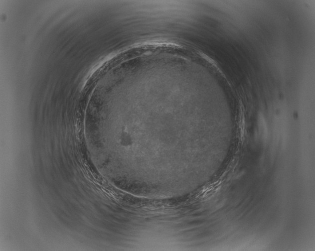 X0000056370823200508291358