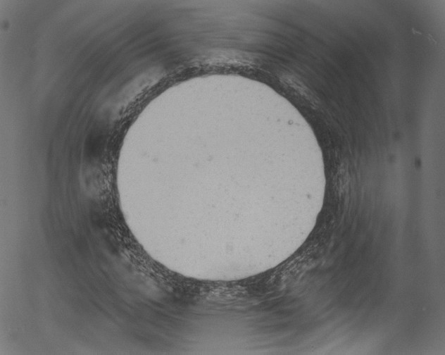 X0000056370824200508291358