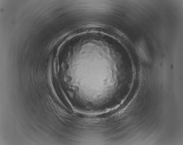 X0000056370825200508291358