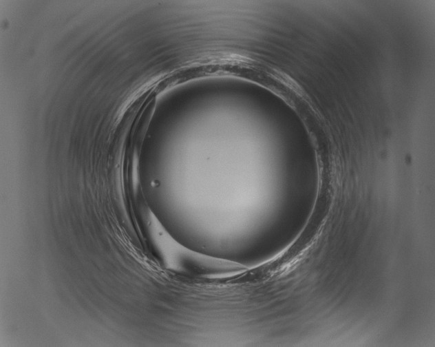 X0000056370826200508291358