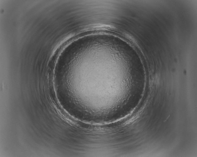 X0000056370827200508291358