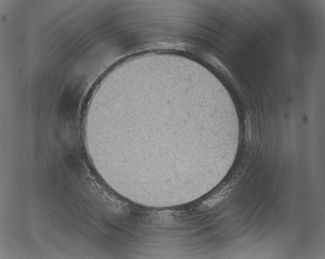 X0000056370828200508291358