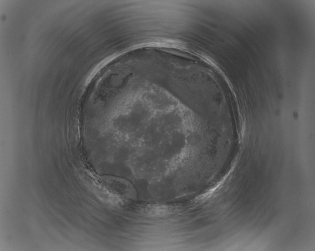 X0000056370829200508291358