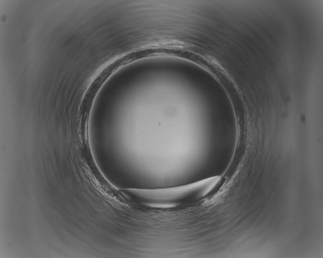 X0000056370830200508291358