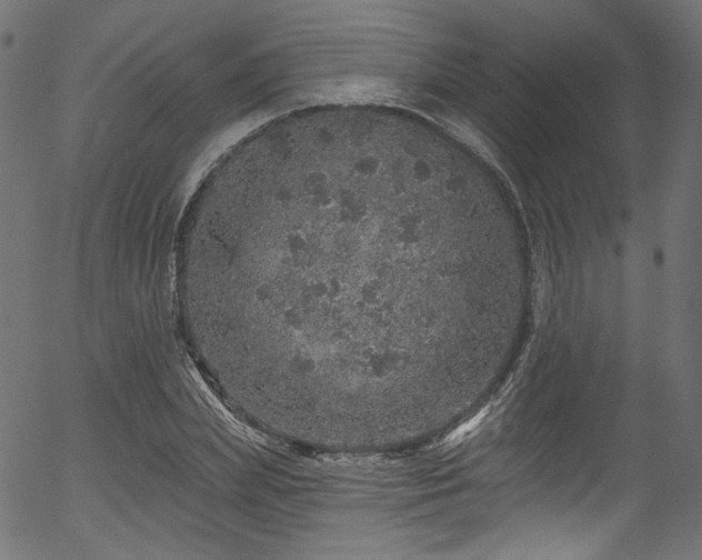 X0000056370831200508291358