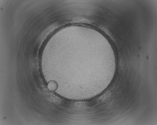 X0000056370832200508291358