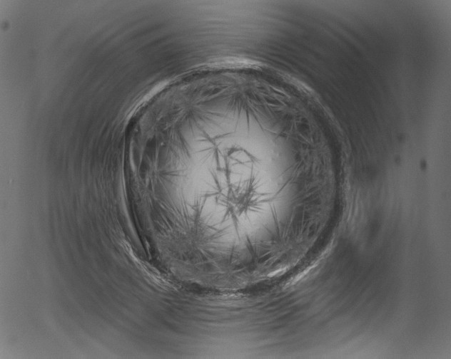 X0000056370833200508291358