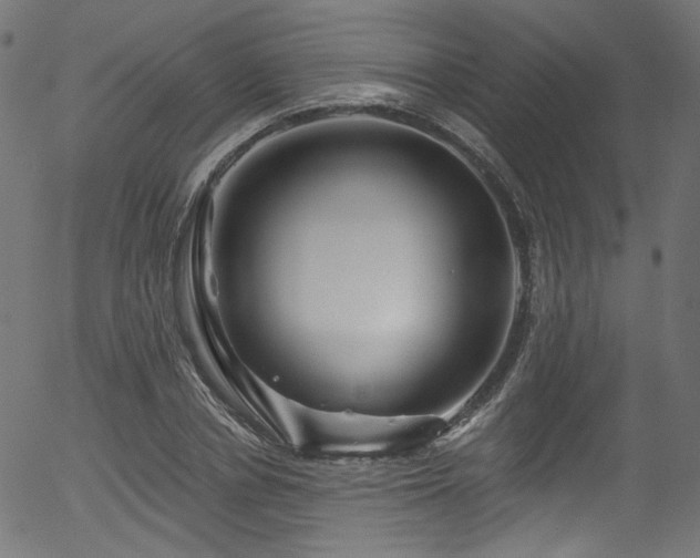 X0000056370834200508291358