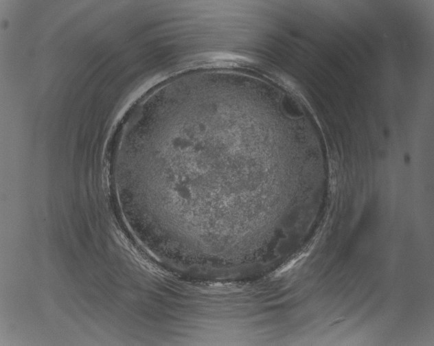 X0000056370835200508291358