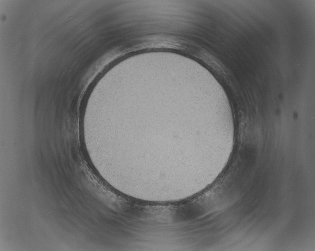 X0000056370836200508291358