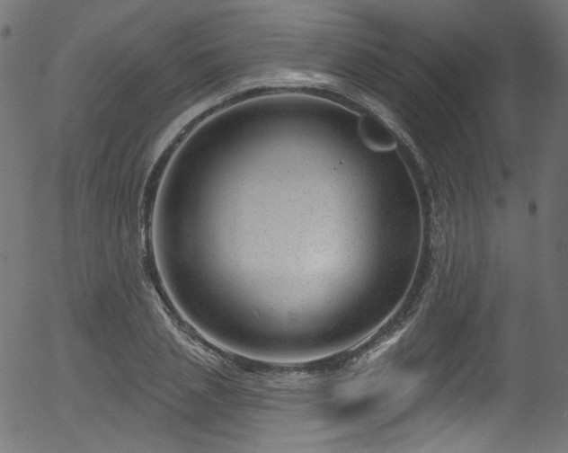 X0000056370837200508291358