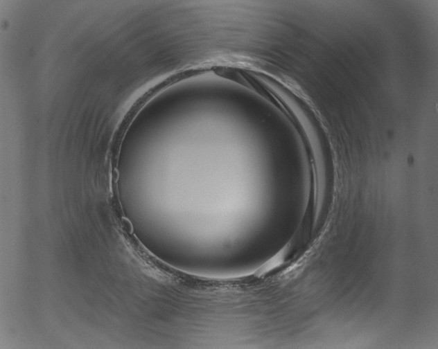 X0000056370838200508291358