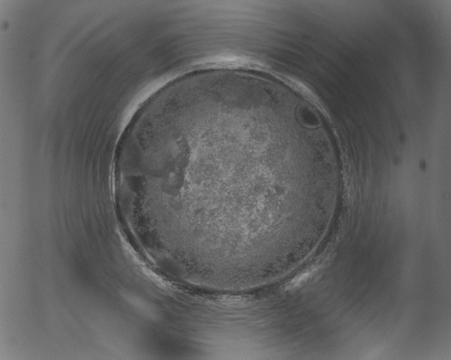 X0000056370839200508291358