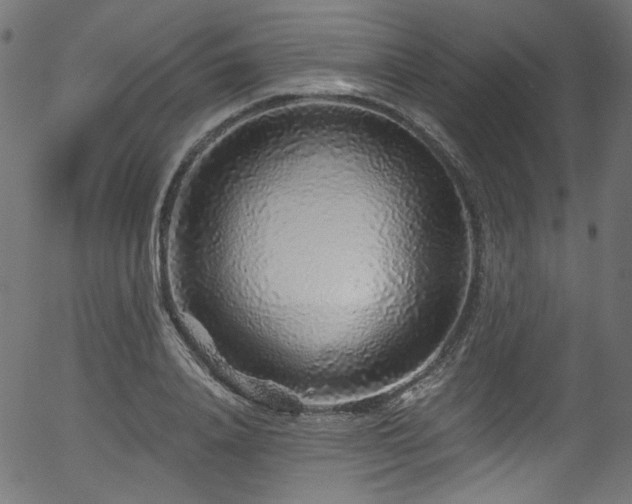 X0000056370840200508291358