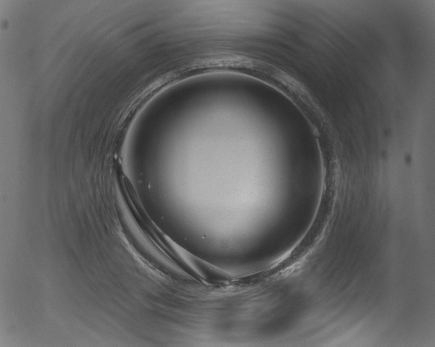 X0000056370841200508291358