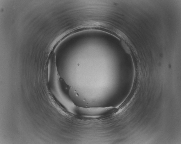 X0000056370842200508291358