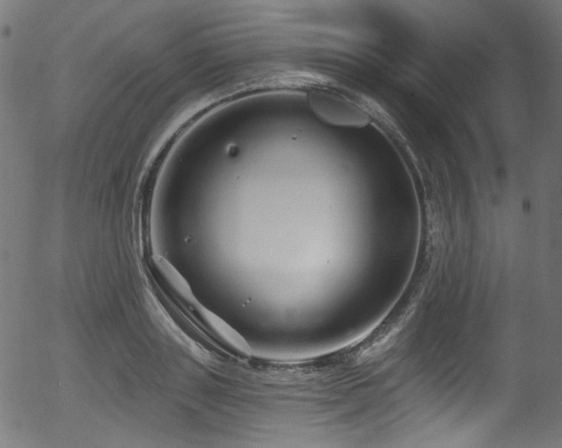 X0000056370843200508291358