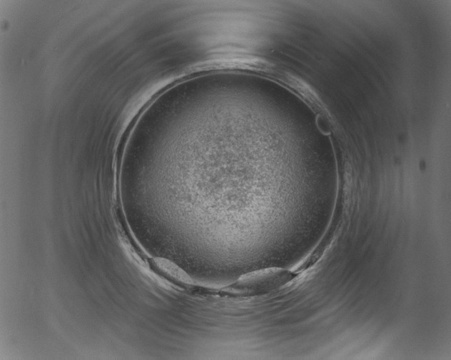 X0000056370844200508291358