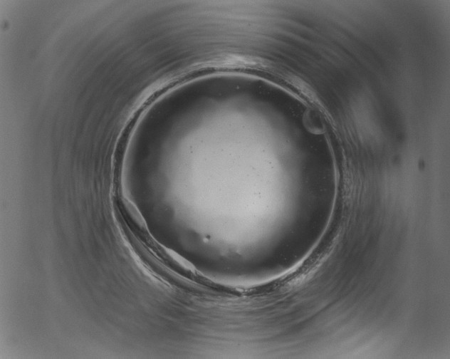 X0000056370845200508291358