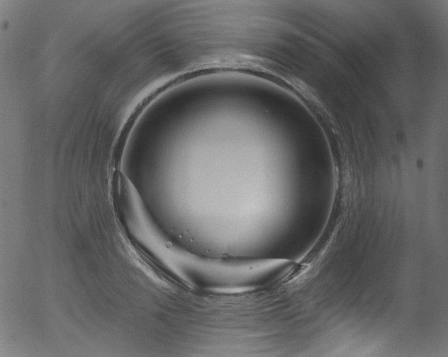 X0000056370846200508291358