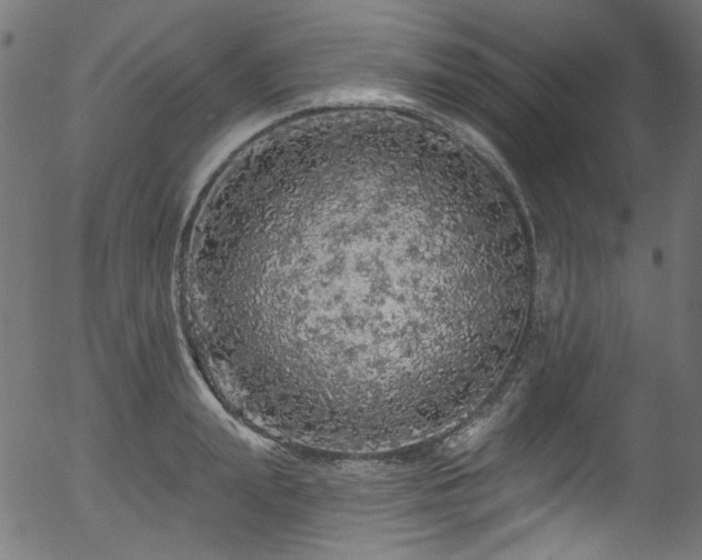 X0000056370847200508291358