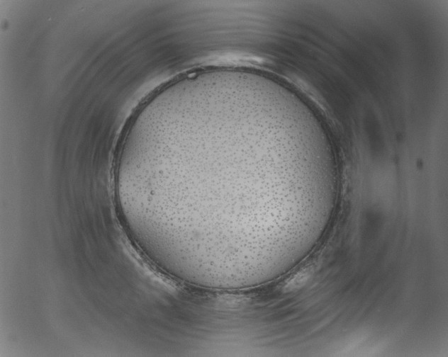 X0000056370848200508291358