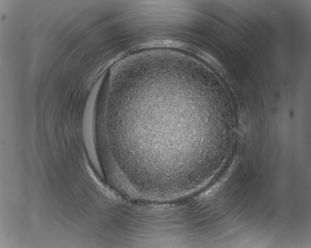 X0000056370849200508291359