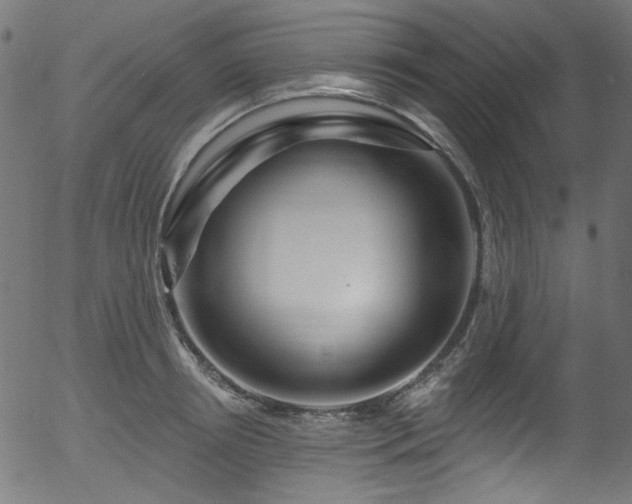 X0000056370850200508291359