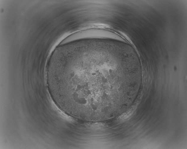 X0000056370851200508291359