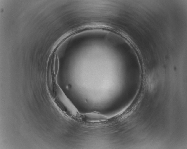 X0000056370853200508291359