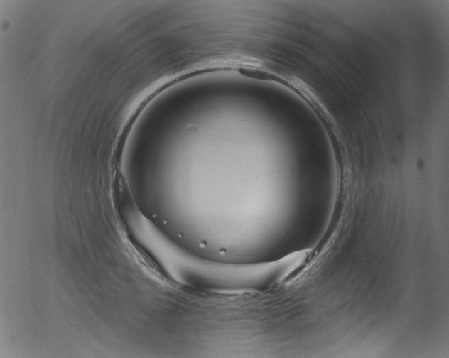 X0000056370854200508291359