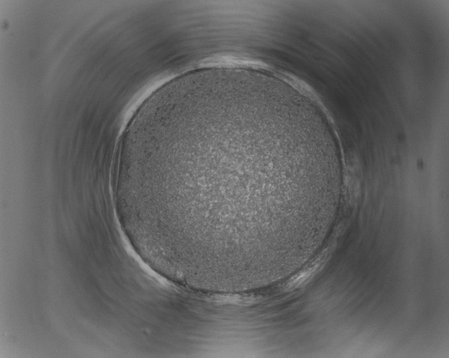 X0000056370855200508291359