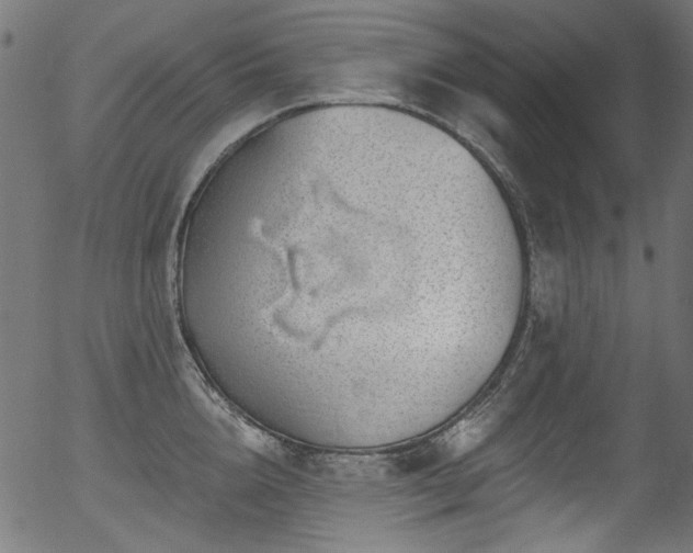 X0000056370856200508291359