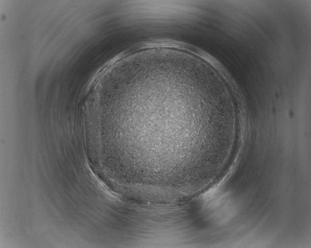 X0000056370857200508291359