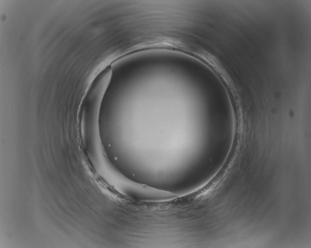 X0000056370858200508291359