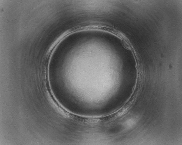 X0000056370859200508291359