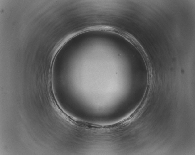 X0000056370860200508291359