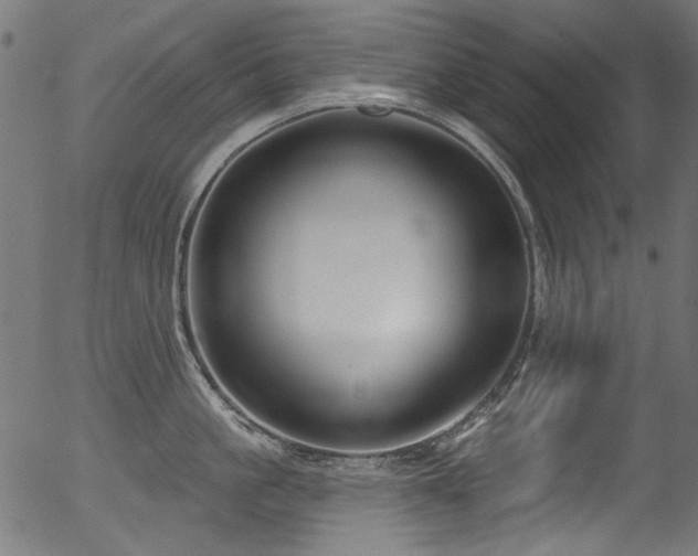 X0000056370861200508291359